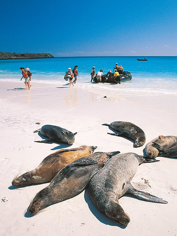 Galapagos