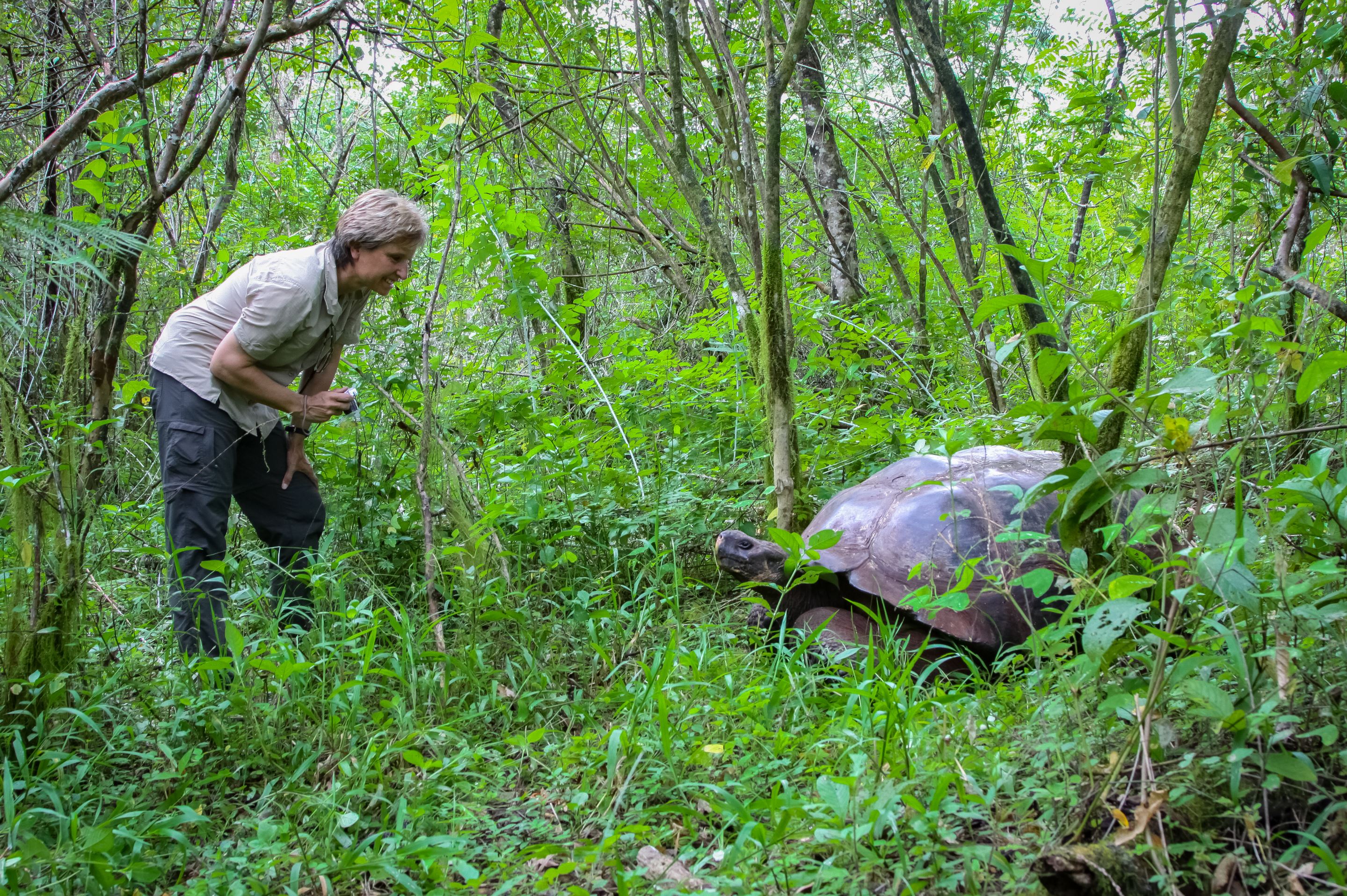 Riesenschildkrötenreservat El Chato und Hacienda  Primicias Schildkröten-Reservat