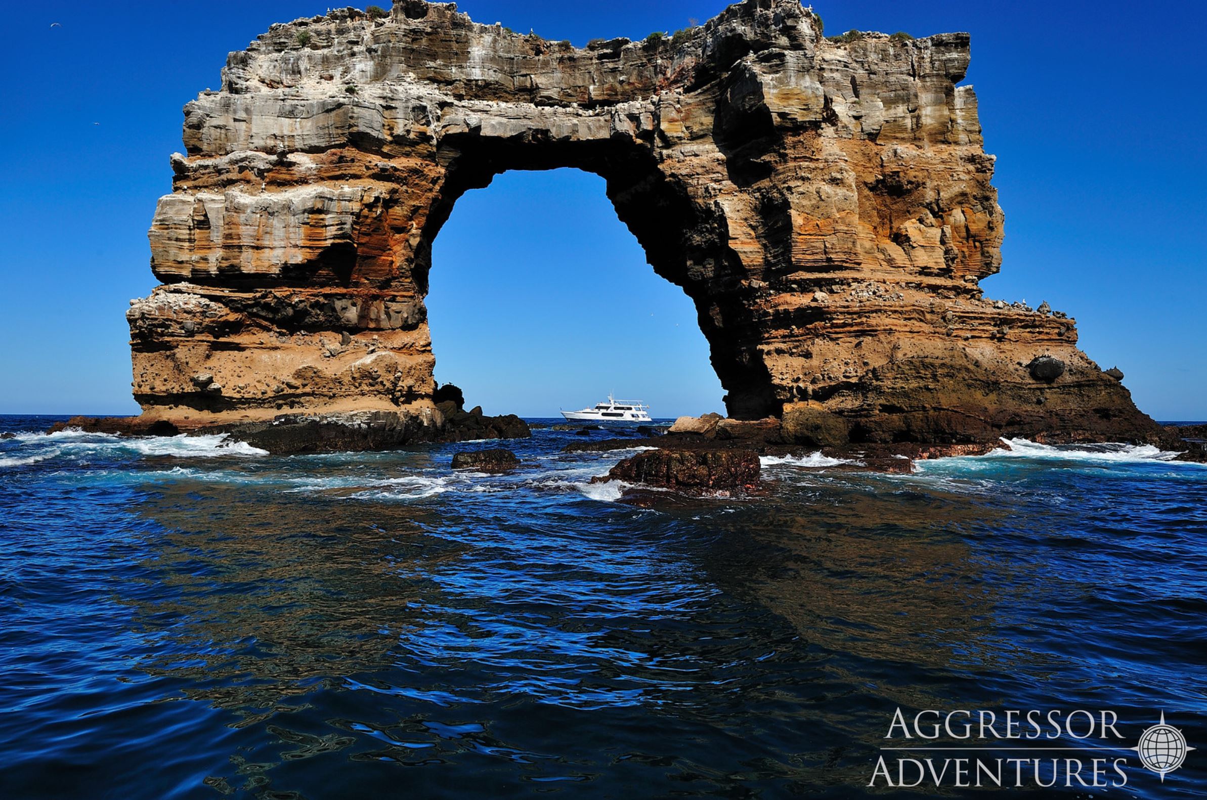 Galapagos Aggressor III adventure: Galapagos Aggressor III Tauchexpedition 8 Tage/7 Nächte Kreuzfahrt mit Insel Wolf & Darwin (18 dives)