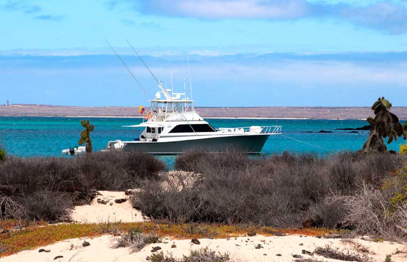 Altamar Yacht daily Galapagos tours from/to Island Baltra: Altamar Yacht daily Galapagos tours to Bartolomé, North Seymour, Plaza or Santa Fé from/to Baltra