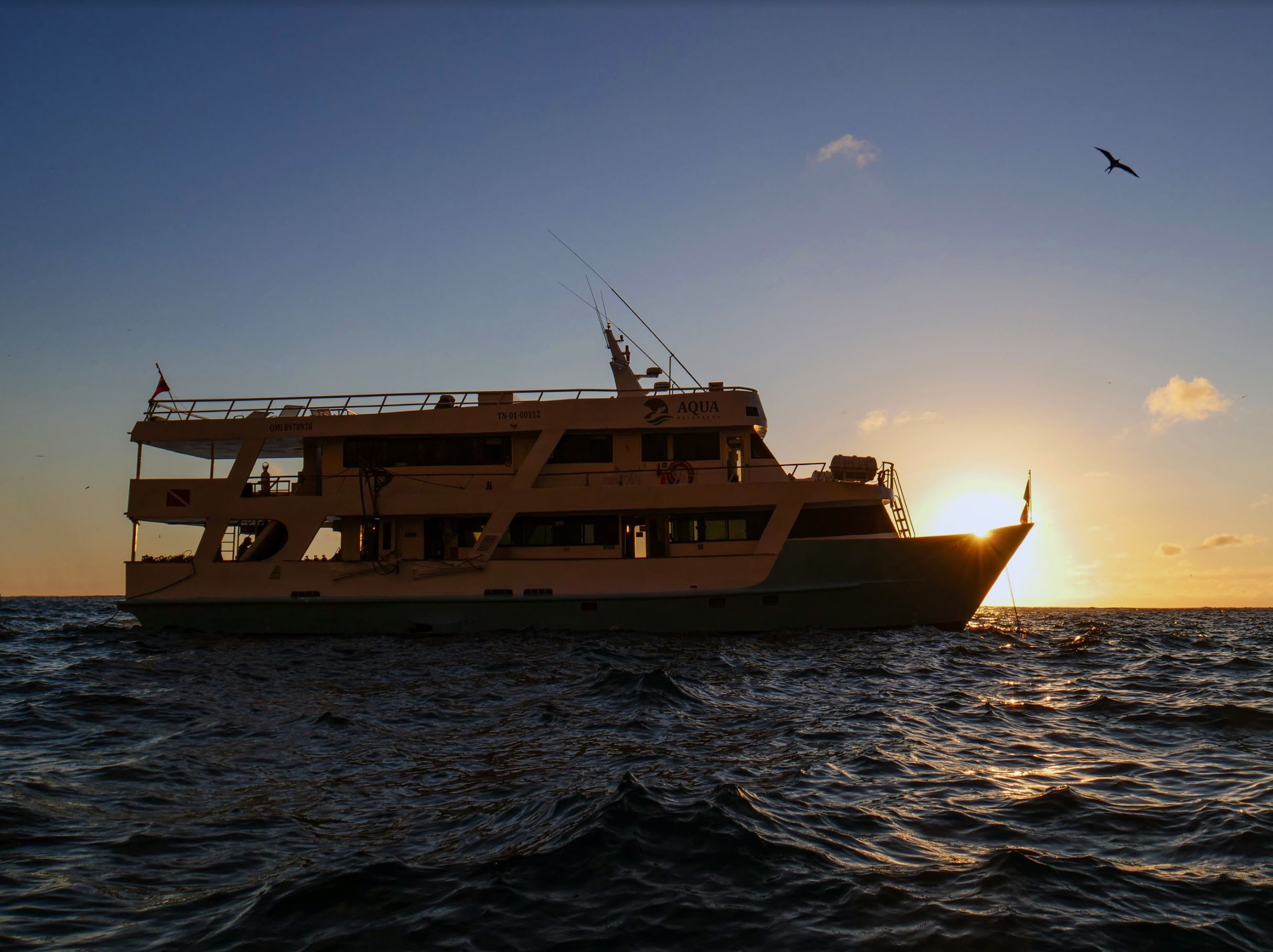 Aqua Diving Yacht : Aqua Tauchyacht 8 Tage/7 Nächte Tauchkreuzfahrt mit  der Wolf & Darwin-Insel (18 dives)