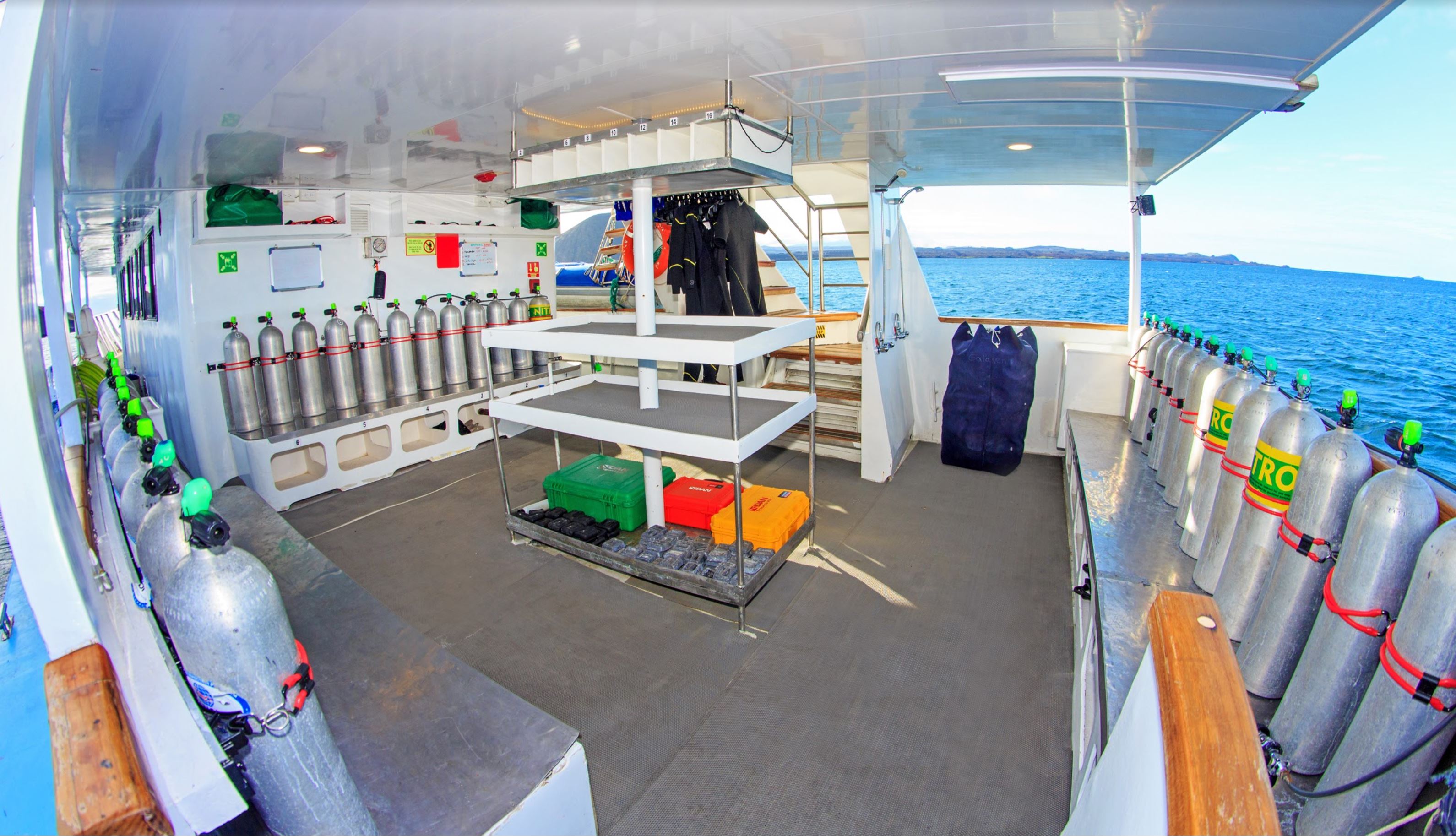 Aqua Diving Yacht : Aqua Tauchyacht 8 Tage/7 Nächte Tauchkreuzfahrt mit  der Wolf & Darwin-Insel (18 dives)